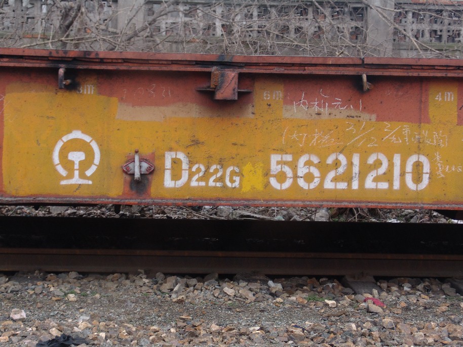 D22G 3.jpg